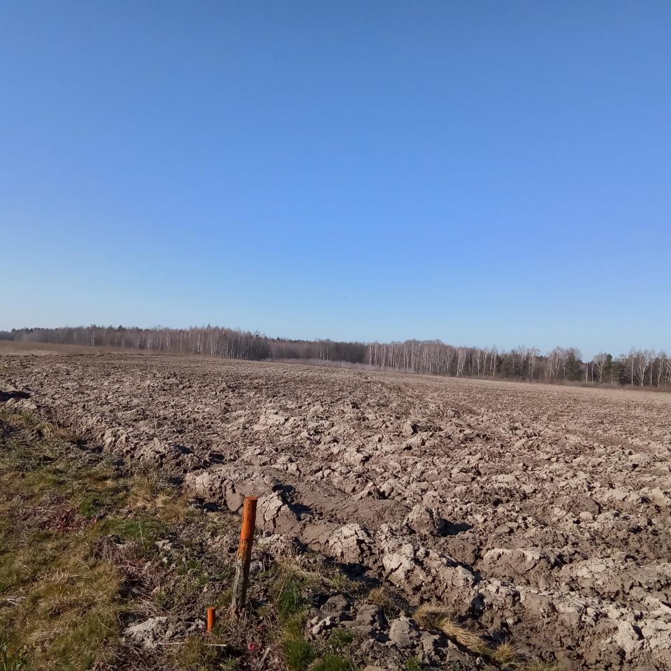 Działka rolna Helenów. Zdjęcie 3