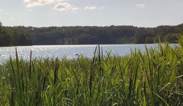 Działka budowlana Liski