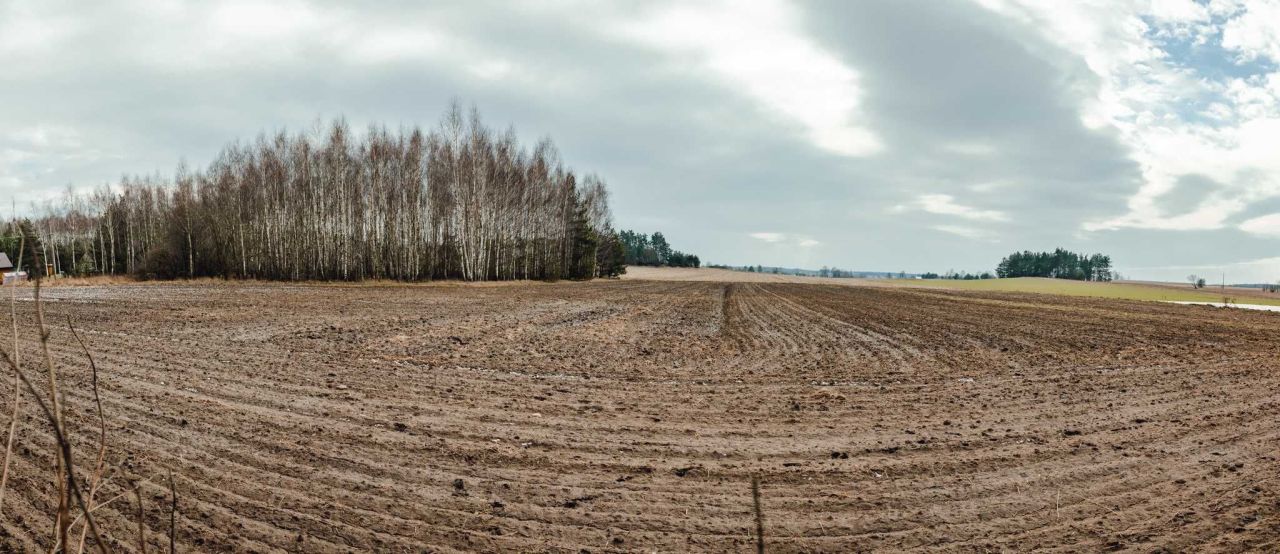Działka rekreacyjna Wiejki. Zdjęcie 2