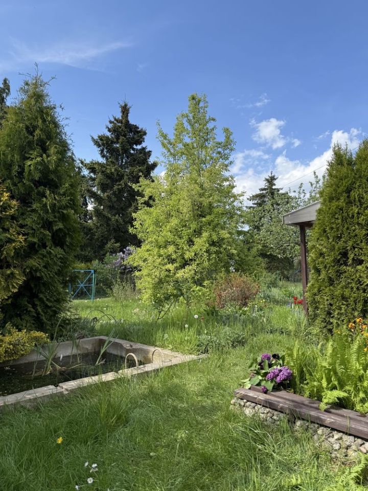 Działka rod Szczecin Pogodno, ul. Stanisława Ignacego Witkiewicza. Zdjęcie 5