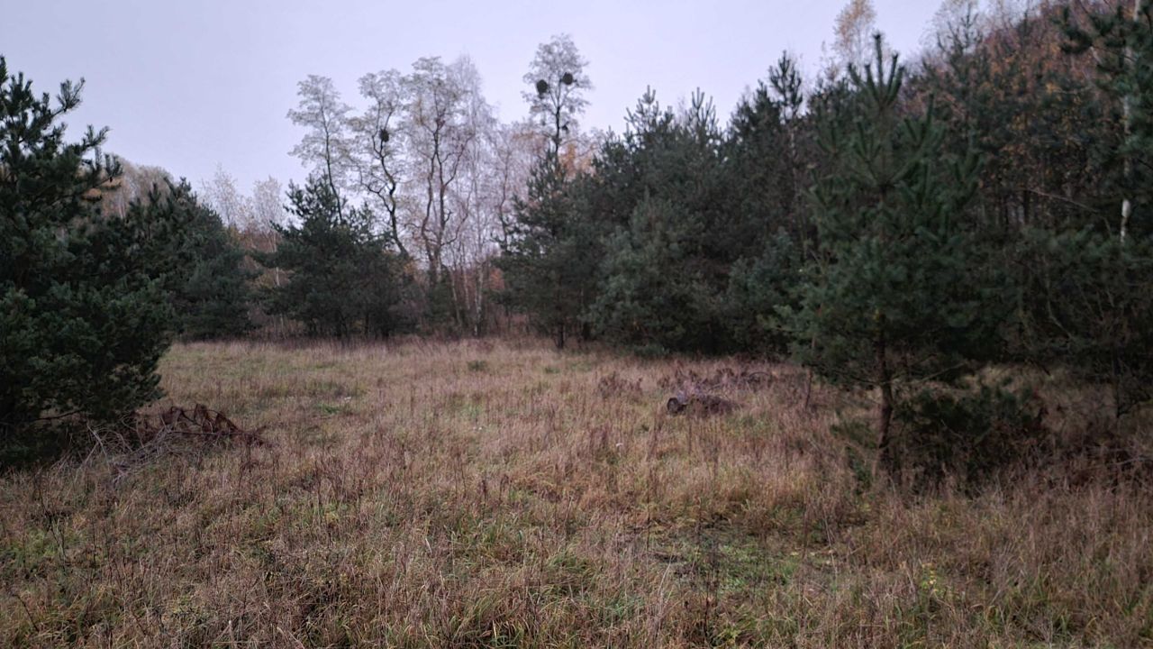 Działka budowlana Dobrojewo. Zdjęcie 2