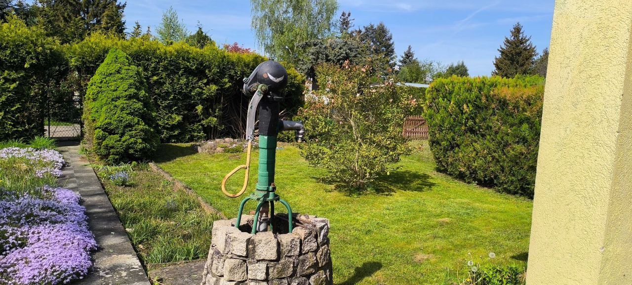 Działka rod Poznań Ławica. Zdjęcie 6