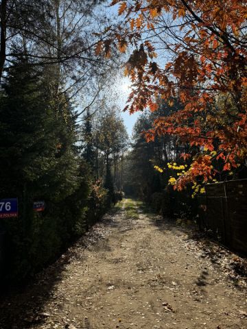 Działka rekreacyjna Wola Polska. Zdjęcie 1