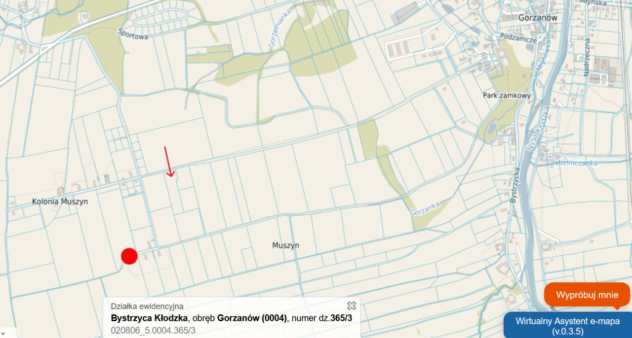Działka rolno-budowlana Gorzanów Muszyn. Zdjęcie 5