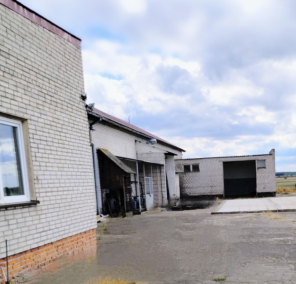 Hala/magazyn Wola Kałkowa. Zdjęcie 5