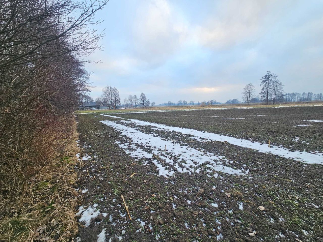 Działka rolno-budowlana Góra. Zdjęcie 4