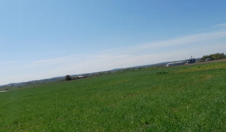 Działka budowlana Wołowice Galatówka, ul. Skawińska