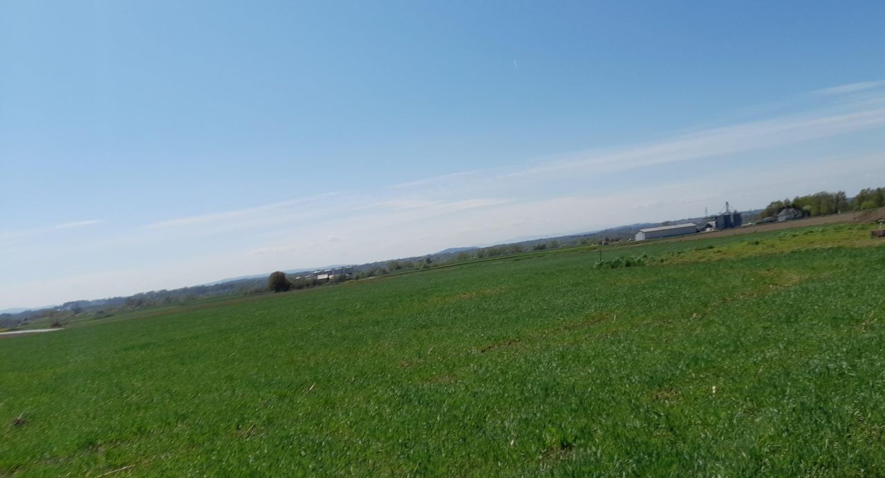 Działka budowlana Wołowice Galatówka, ul. Skawińska. Zdjęcie 1