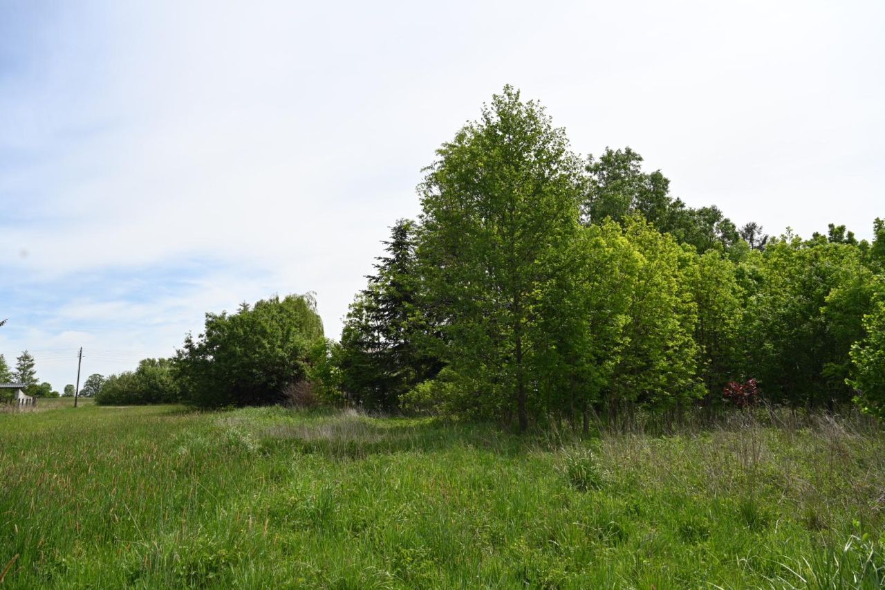 Działka budowlana Krężce, ul. Źródlana. Zdjęcie 7