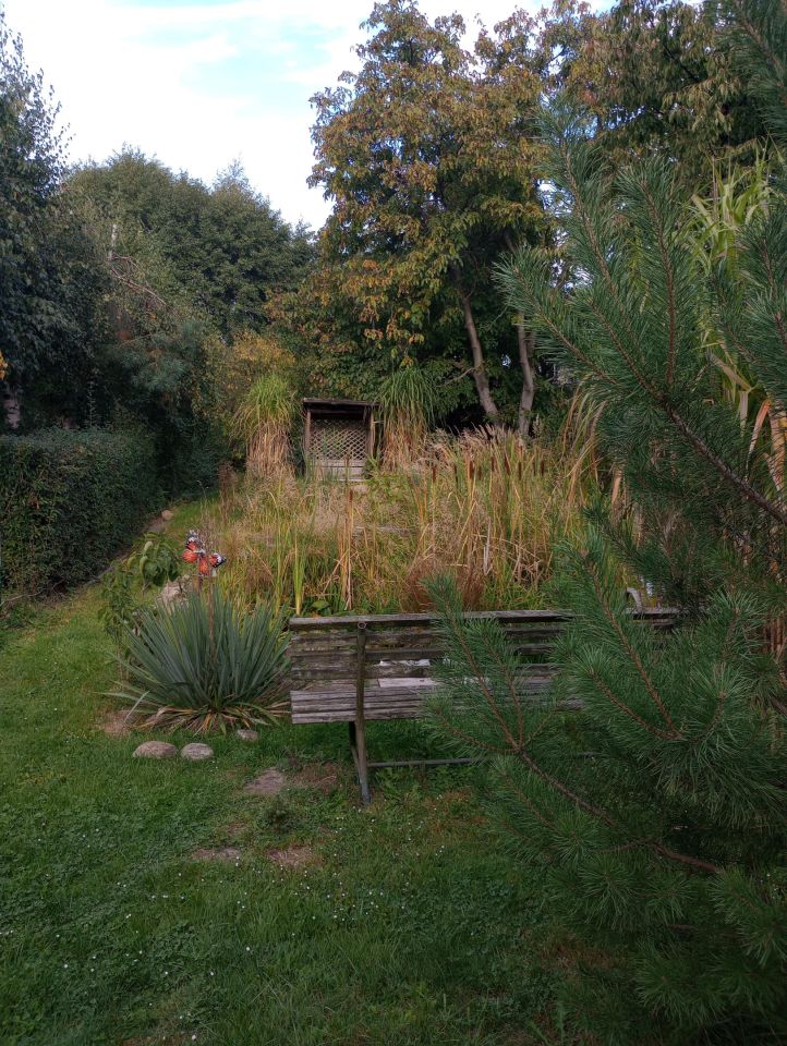 Działka budowlana Piława Górna Kośmin, ul. Stefana Okrzei. Zdjęcie 15