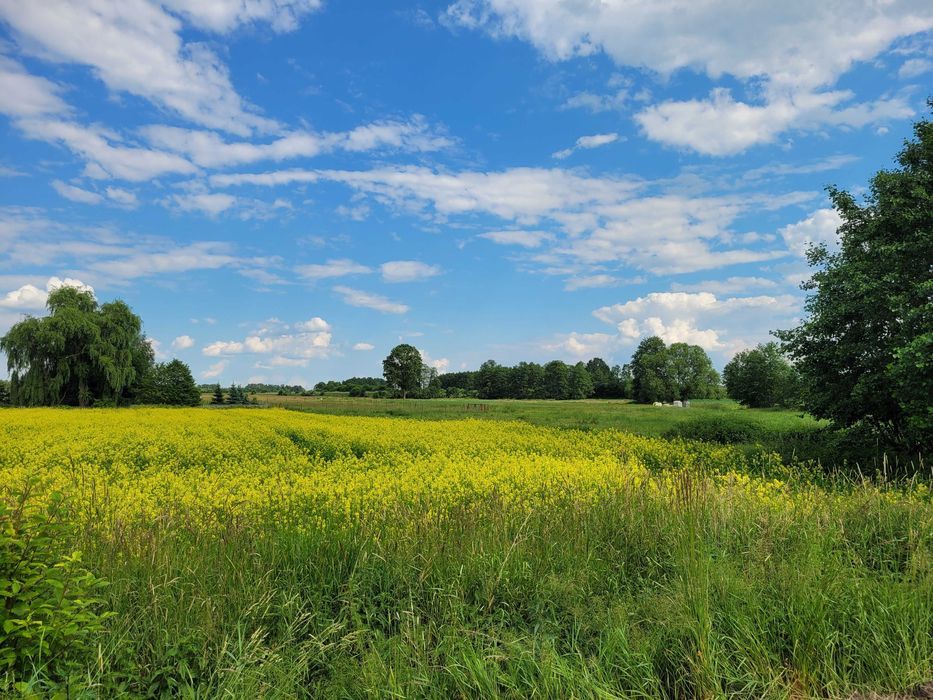 Działka budowlana Poniatowice. Zdjęcie 7