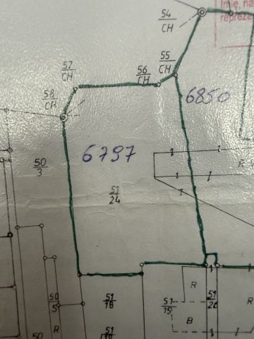 Działka leśna Ostrów. Zdjęcie 1