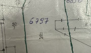 Działka leśna Ostrów