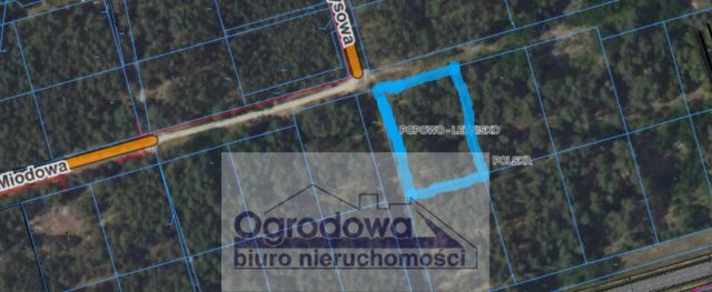 Działka rekreacyjna Popowo-Letnisko. Zdjęcie 2