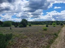 Działka budowlana Kępa Niemojewska. Zdjęcie 1