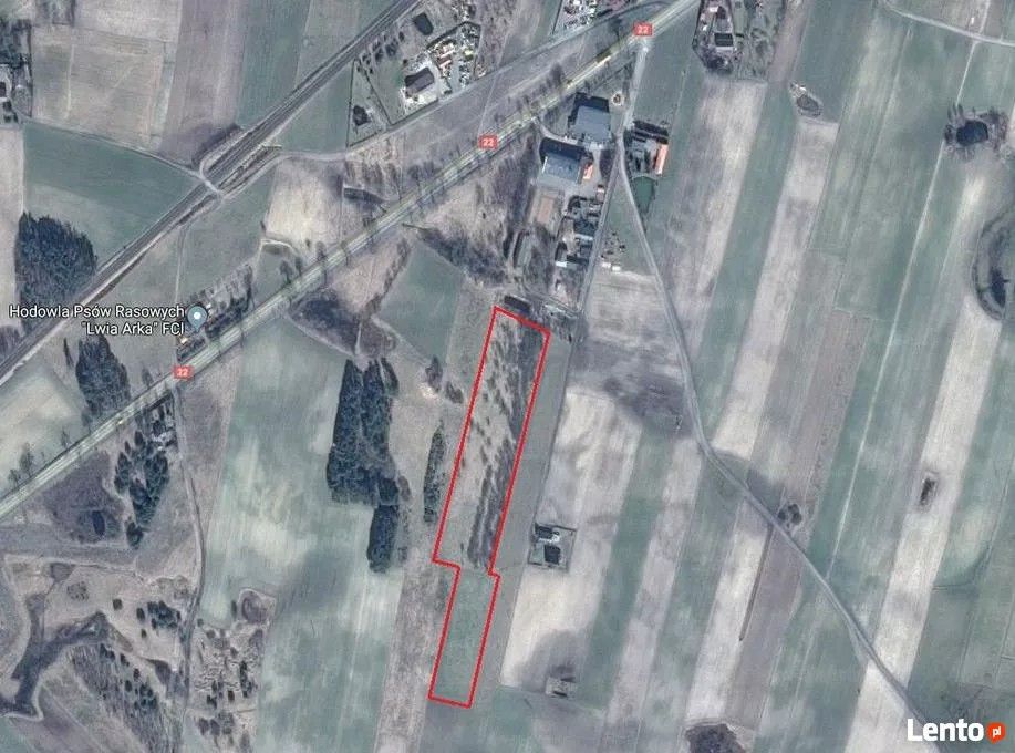 Działka rolno-budowlana Łąg. Zdjęcie 2