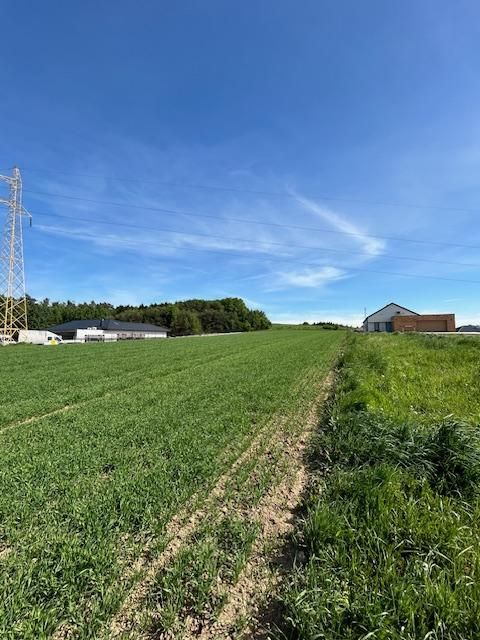 Działka budowlana Gbiska. Zdjęcie 5