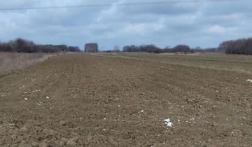 Działka rolno-budowlana Tarnów Klikowa, ul. Cedrowa