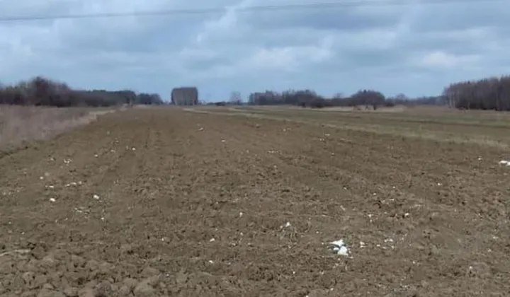 Działka rolno-budowlana Tarnów Klikowa, ul. Cedrowa