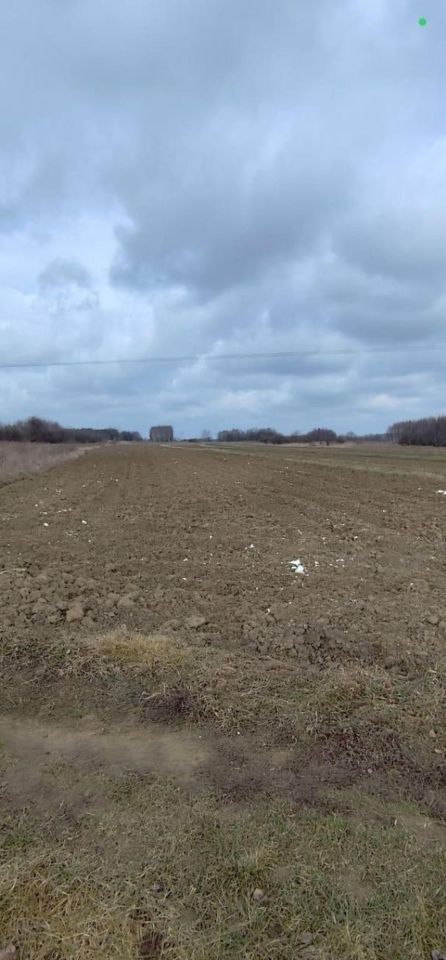 Działka rolno-budowlana Tarnów Klikowa, ul. Cedrowa