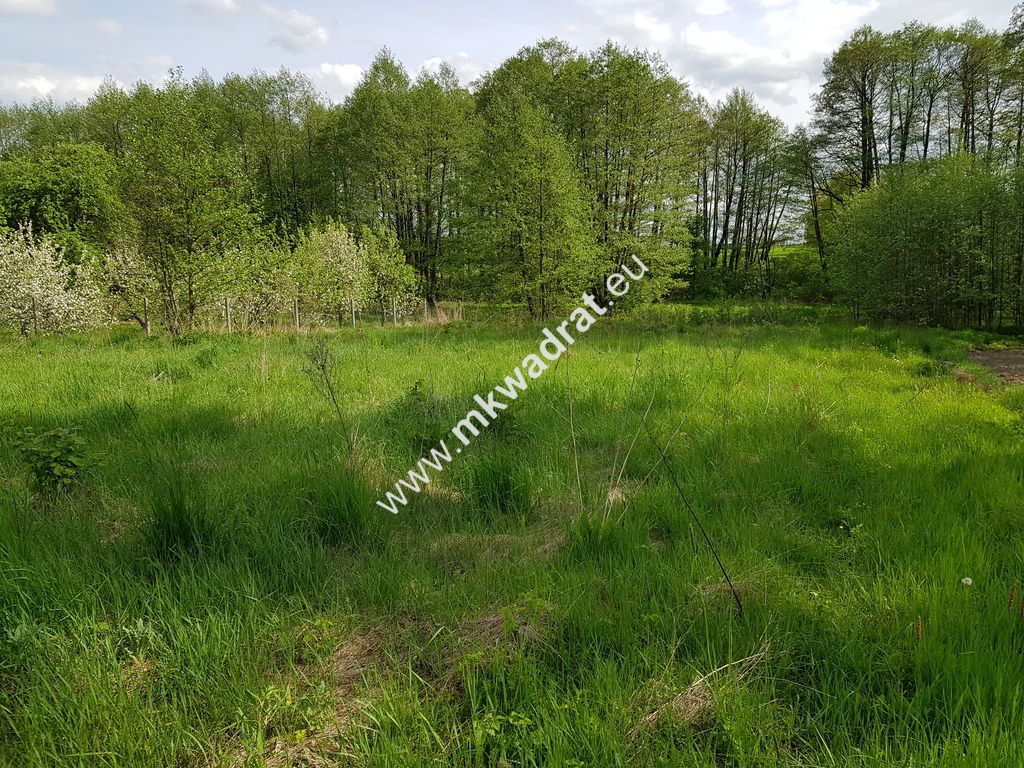 Działka budowlana Wola Pękoszewska. Zdjęcie 5