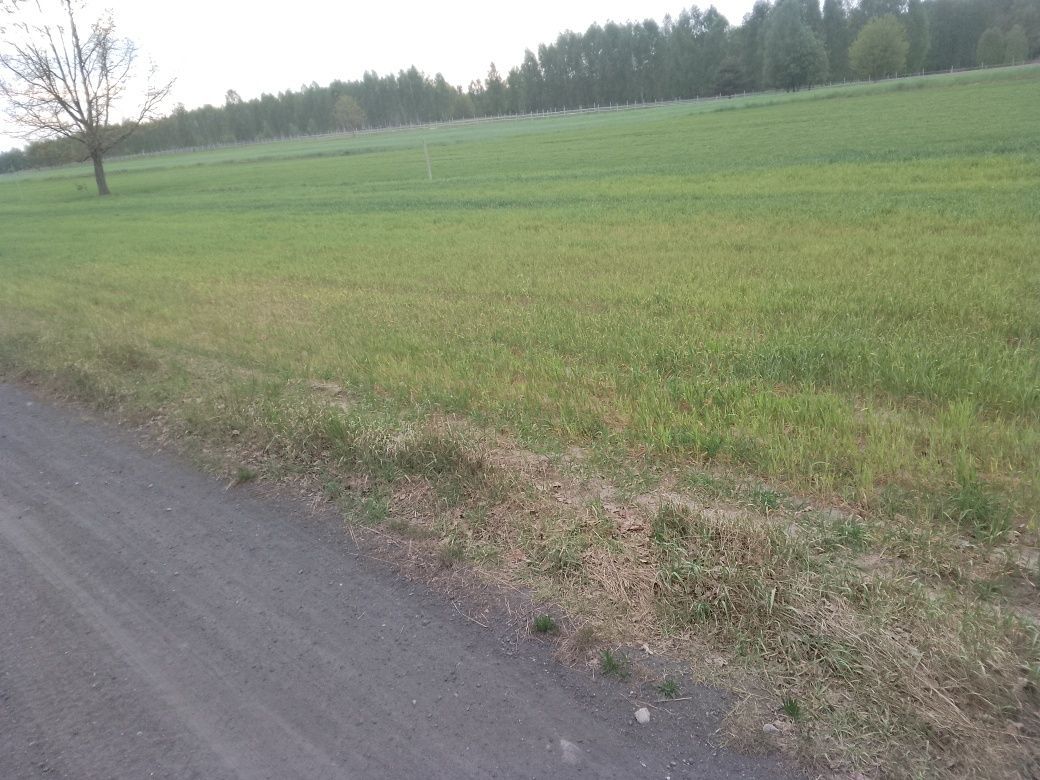 Działka budowlana Zawada Nowa. Zdjęcie 4
