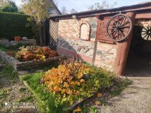 Działka rod Piła, ul. Paderewskiego. Zdjęcie 4