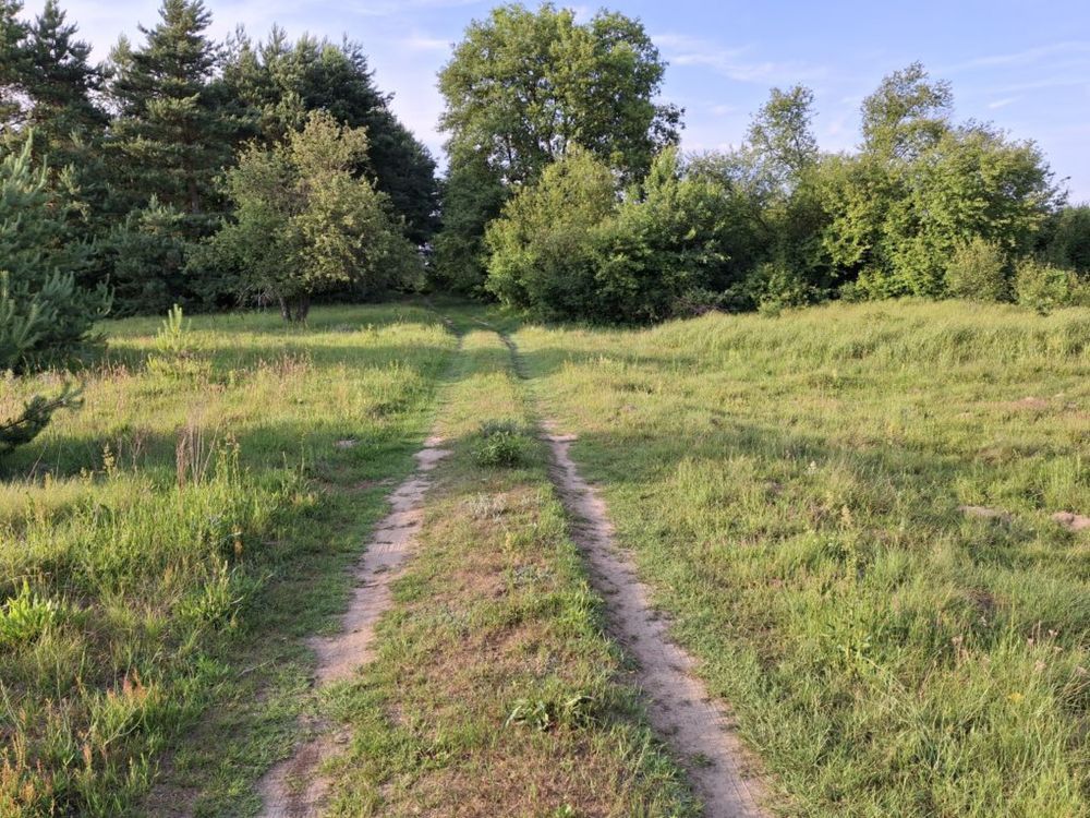 Działka siedliskowa Dęba. Zdjęcie 2