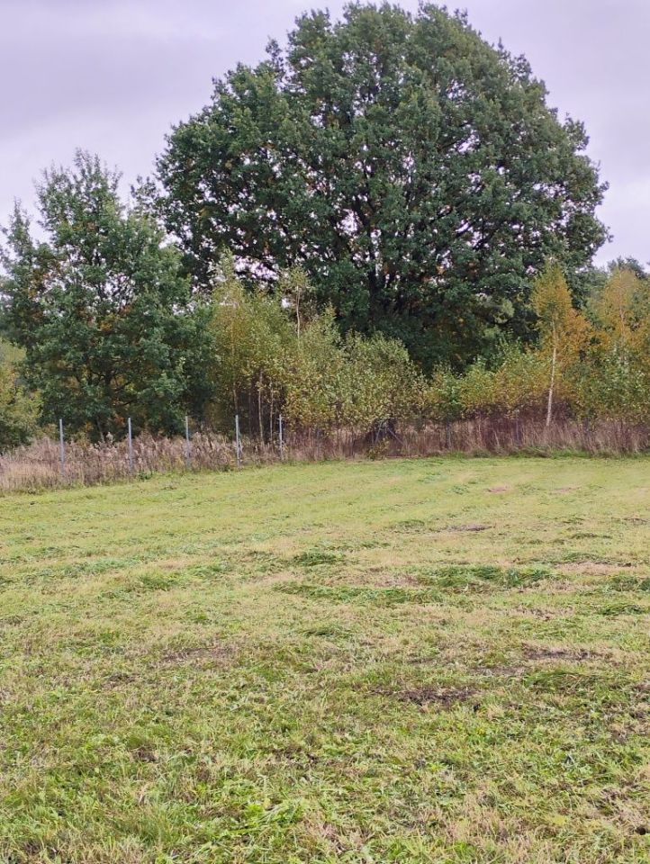 Działka budowlana Połchowo. Zdjęcie 7