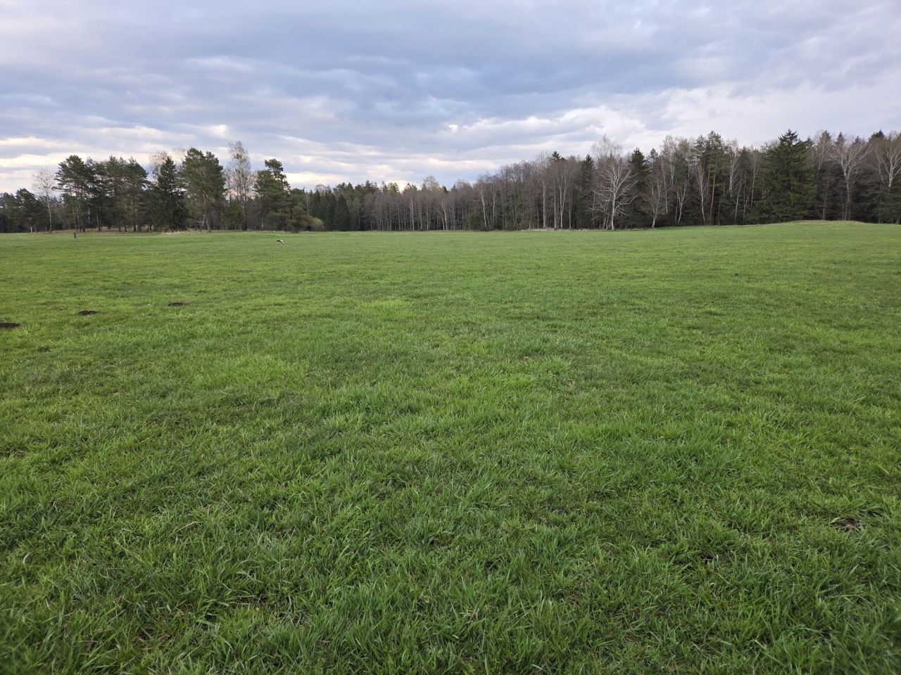 Działka rolna Skieblewo. Zdjęcie 4