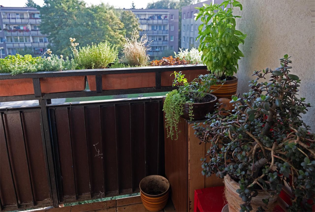 Mieszkanie 3-pokojowe Konstancin-Jeziorna, ul. Anny Walentynowicz. Zdjęcie 10