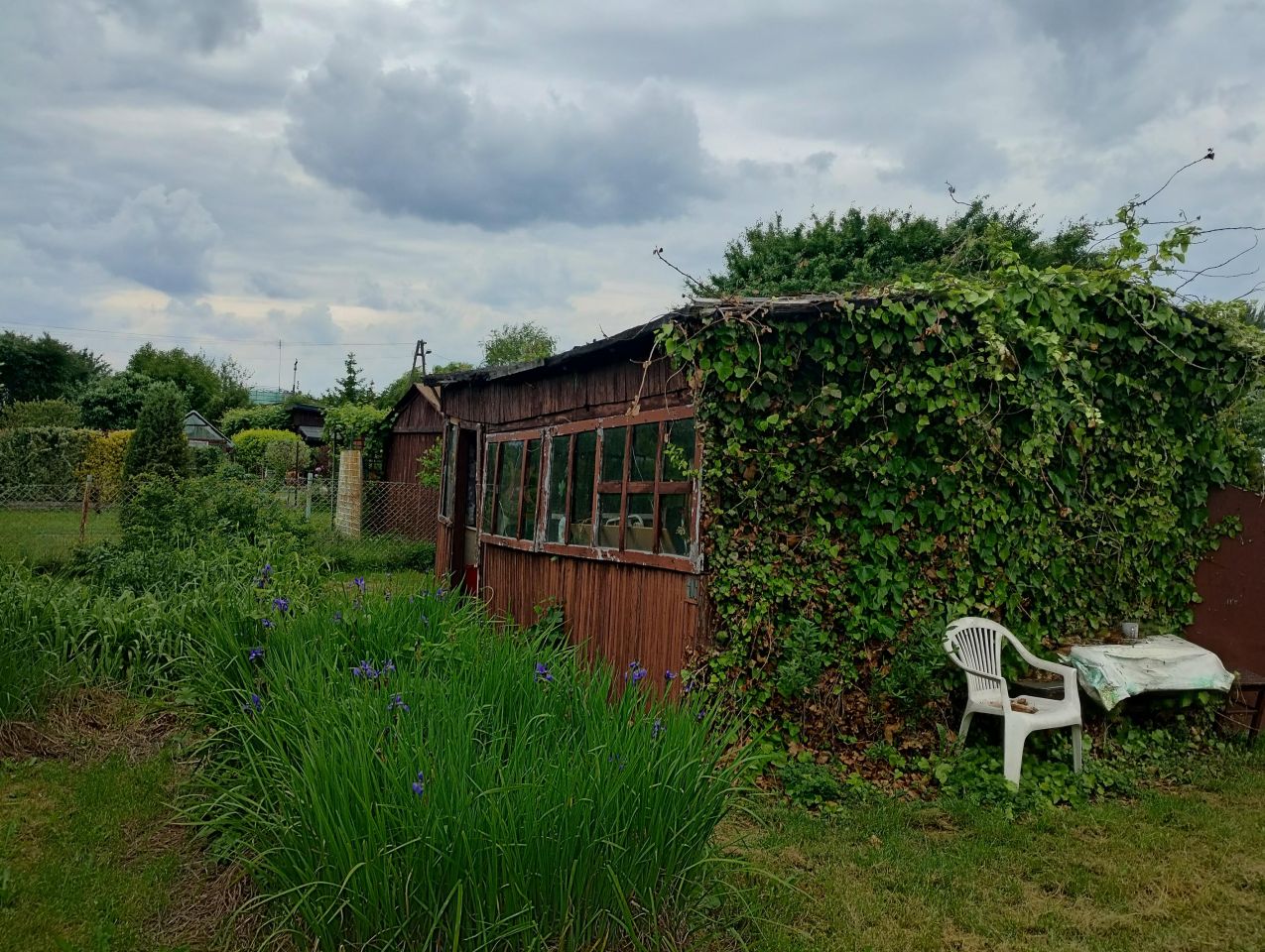 Działka rod Wołomin, ul. Kurkowa. Zdjęcie 2