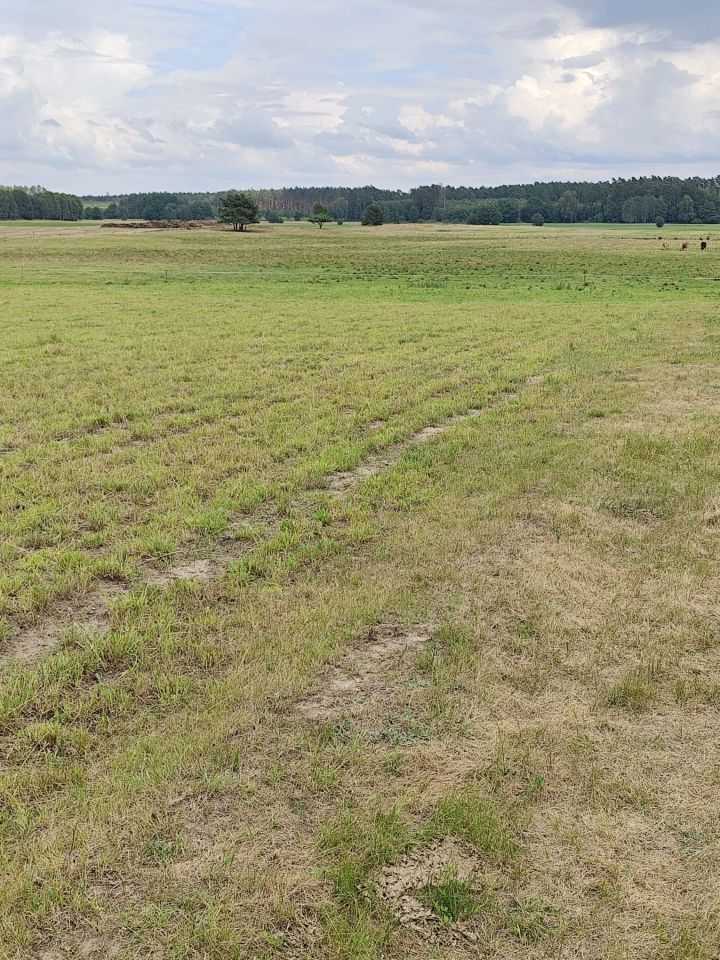 Działka siedliskowa Kęsza. Zdjęcie 6