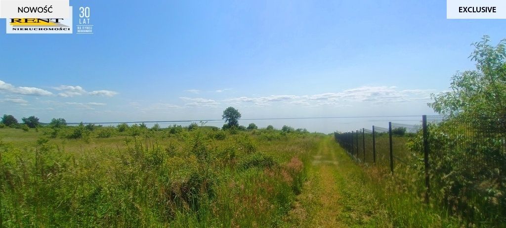 Działka rekreacyjna Płocin. Zdjęcie 14