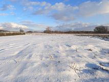 Działka rolno-budowlana Chełm Żółtańce. Zdjęcie 2