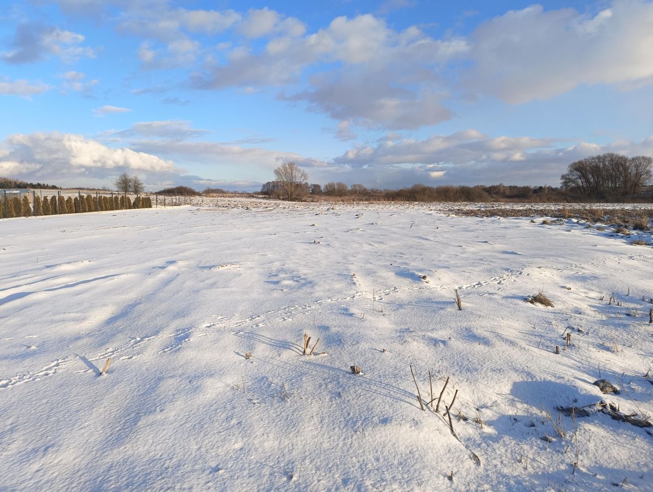Działka rolno-budowlana Chełm Żółtańce. Zdjęcie 3