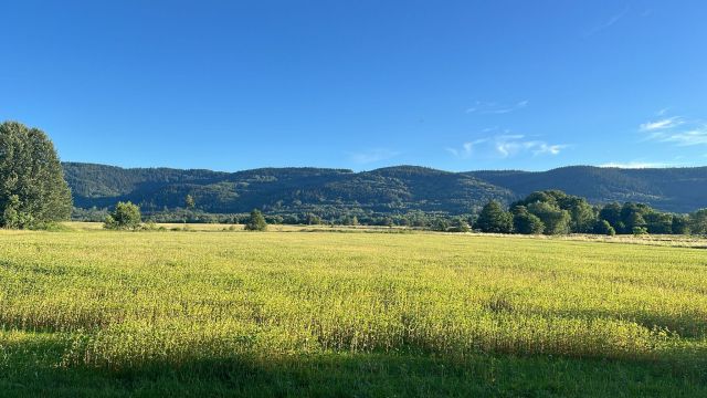 Działka budowlana Stara Łomnica. Zdjęcie 1