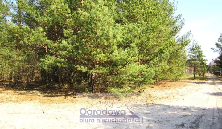 Działka rekreacyjna Urle