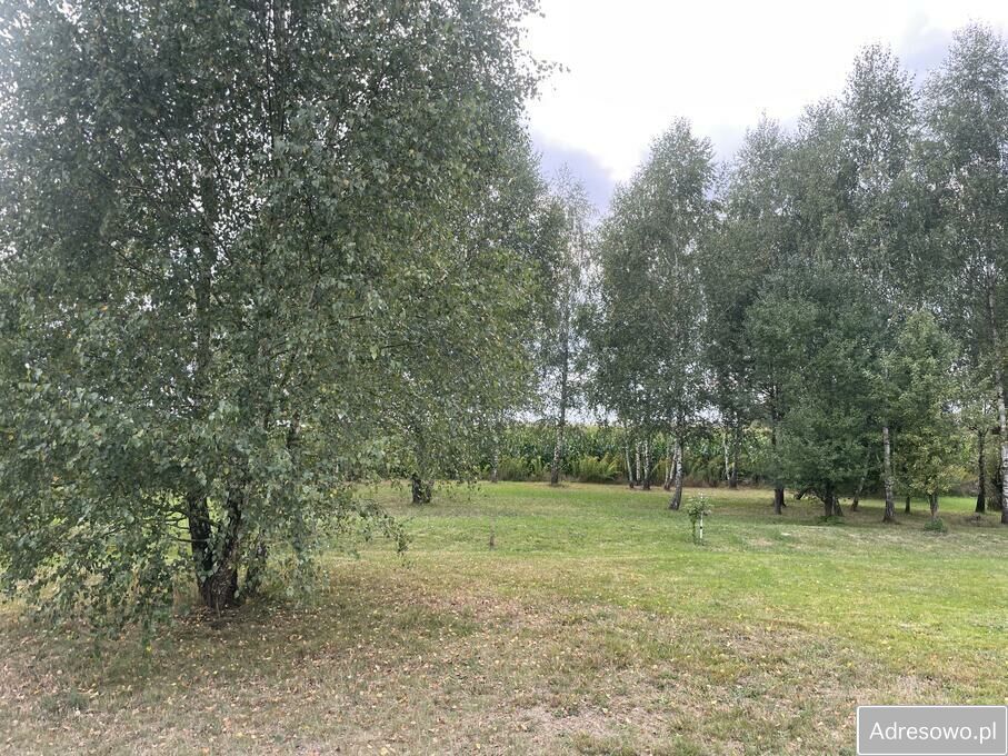 Działka rolno-budowlana Elgnówko. Zdjęcie 4