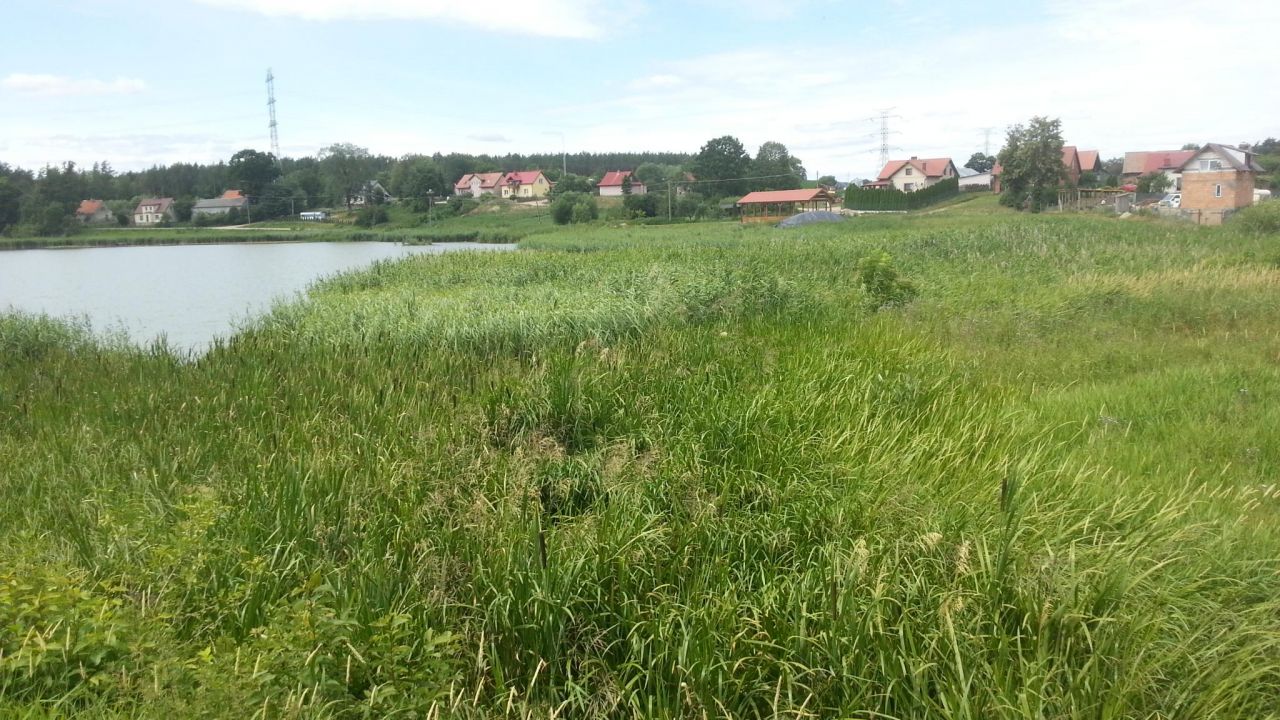 Działka rekreacyjna Kurzątki. Zdjęcie 8