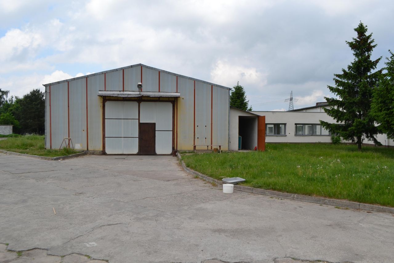 Hala/magazyn Złotniki Kujawskie, ul. Jęczmienna. Zdjęcie 10