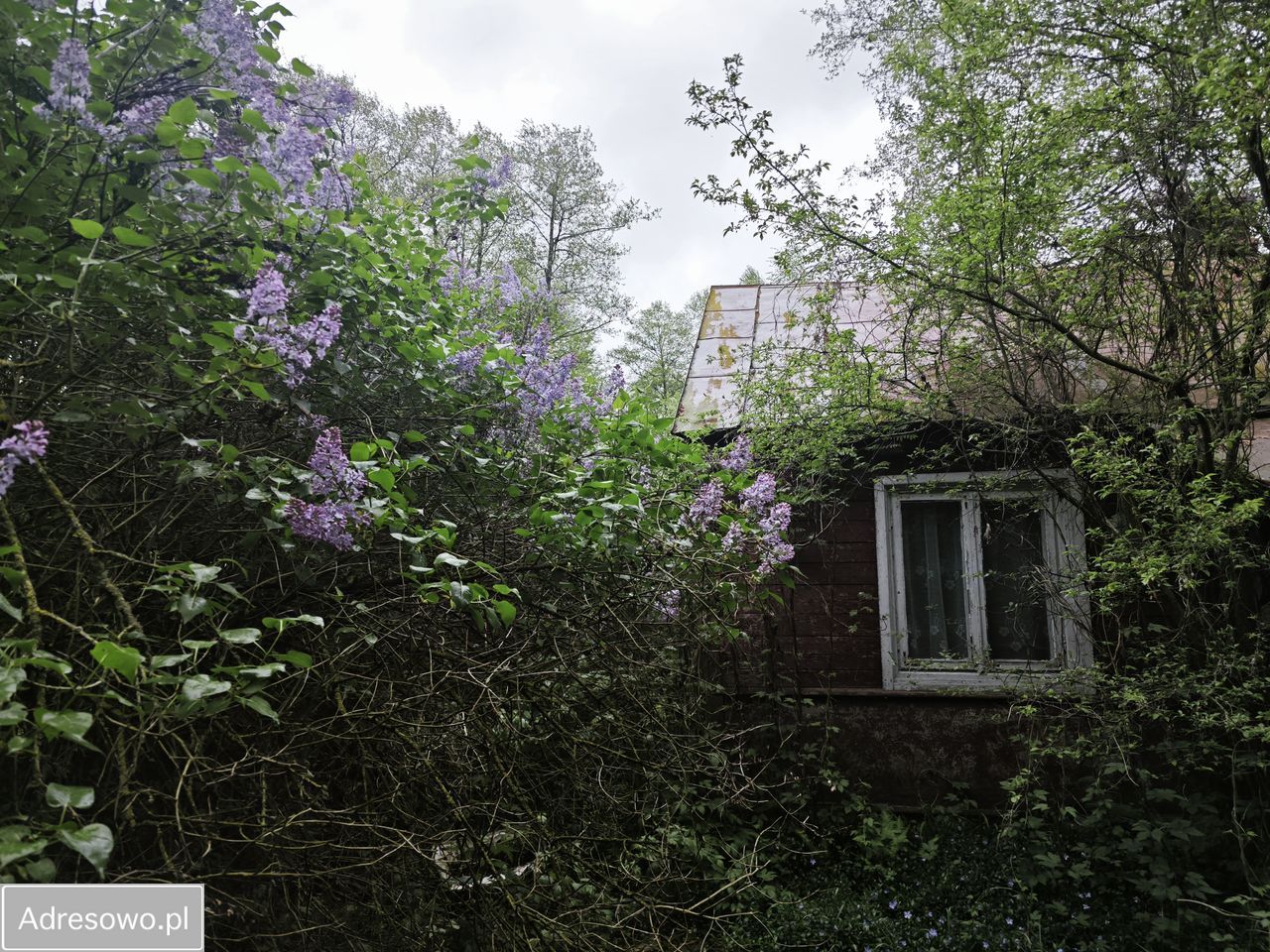 Działka rolno-budowlana Dobromyśl