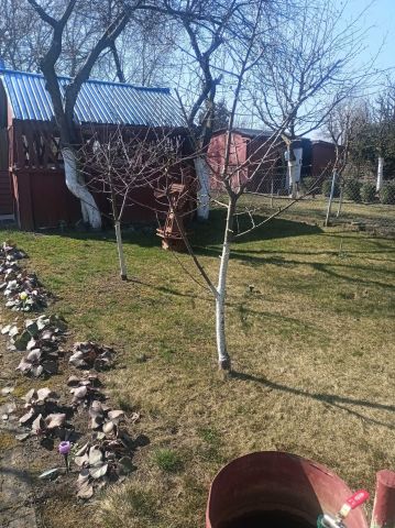 Działka rekreacyjna Płock Winiary. Zdjęcie 1