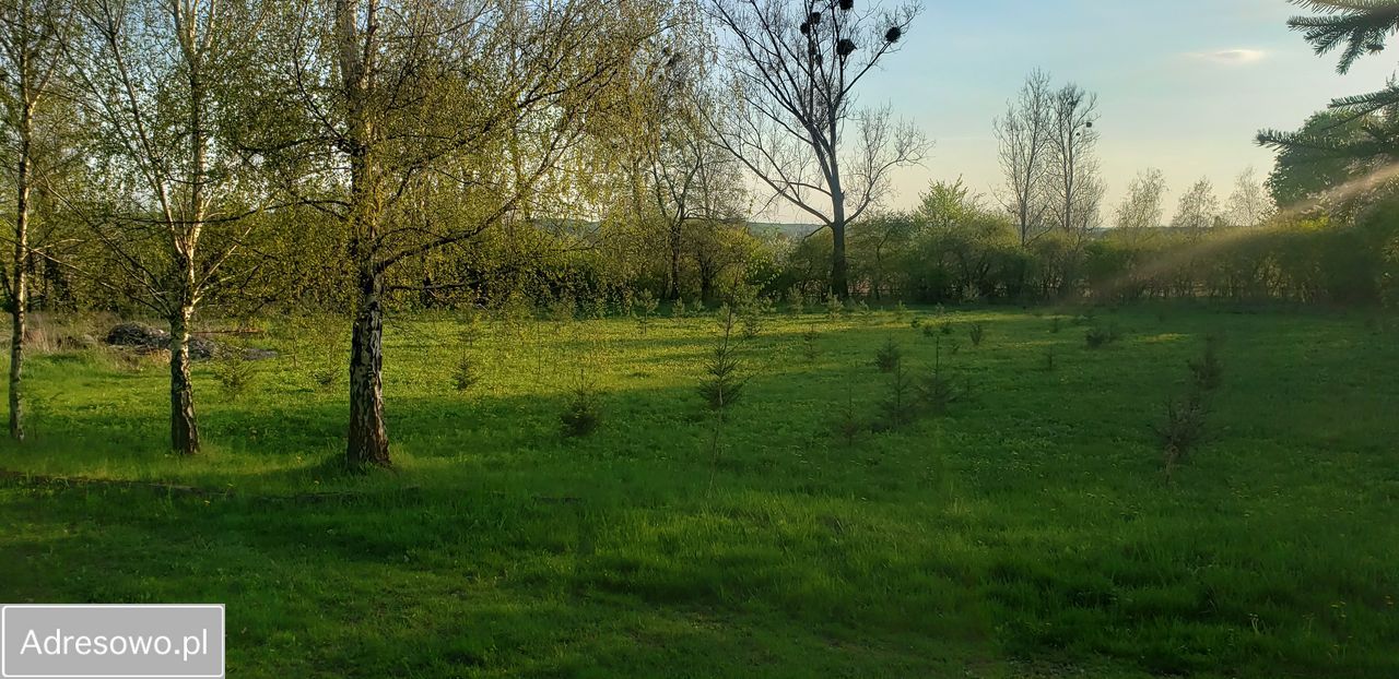 Hala/magazyn Nowy Dwór. Zdjęcie 12