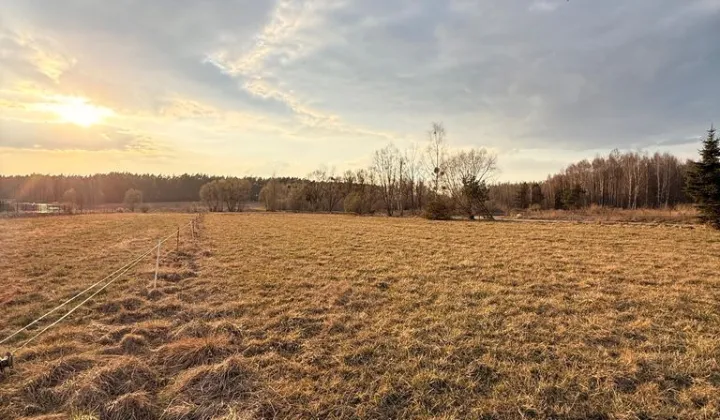 Działka budowlana Halickie