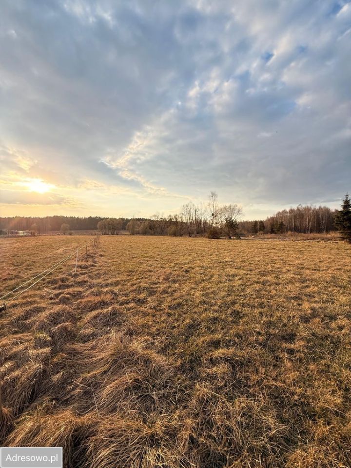 Działka budowlana Halickie. Zdjęcie 1