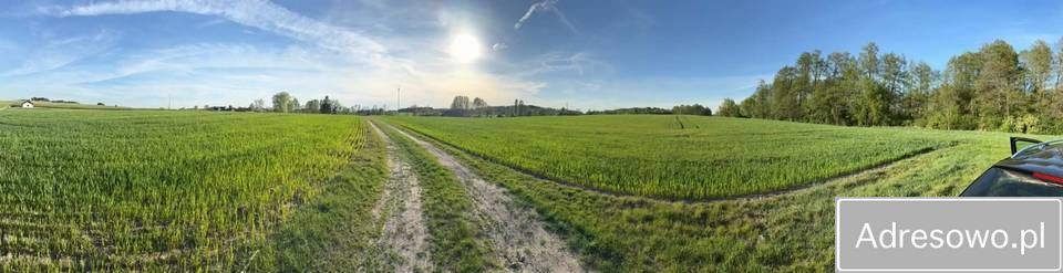 Działka rolna Sompolno. Zdjęcie 9