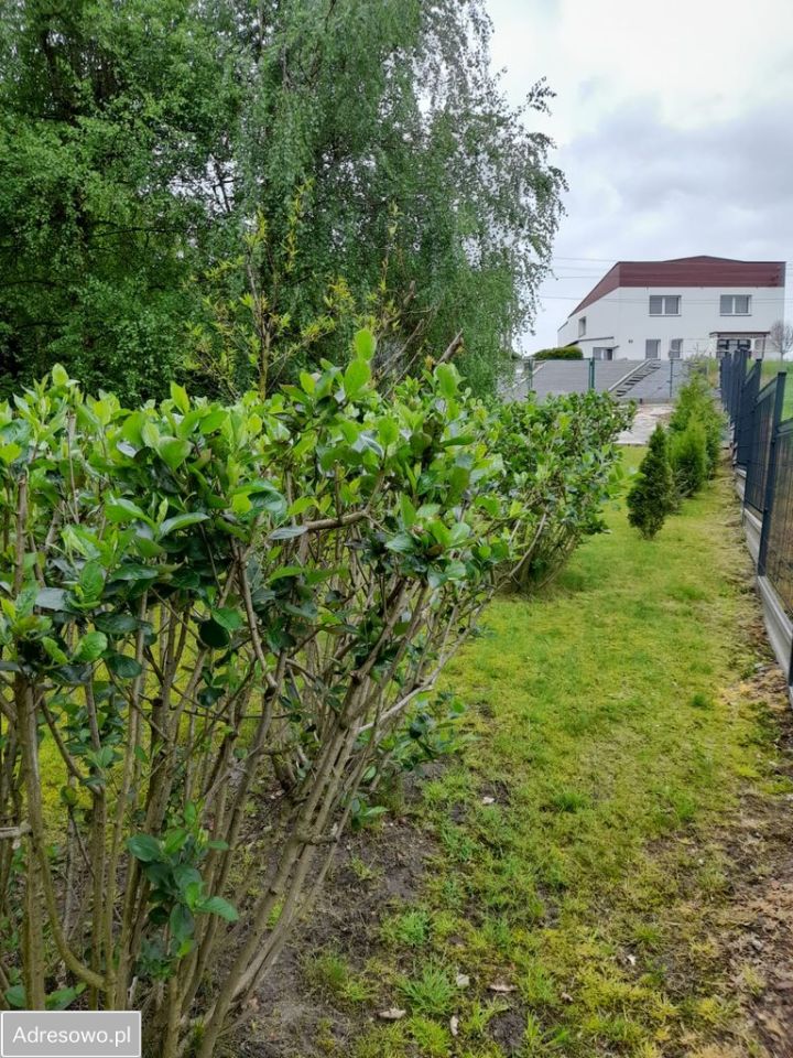 Działka rolna Pszów Krzyżkowice. Zdjęcie 6