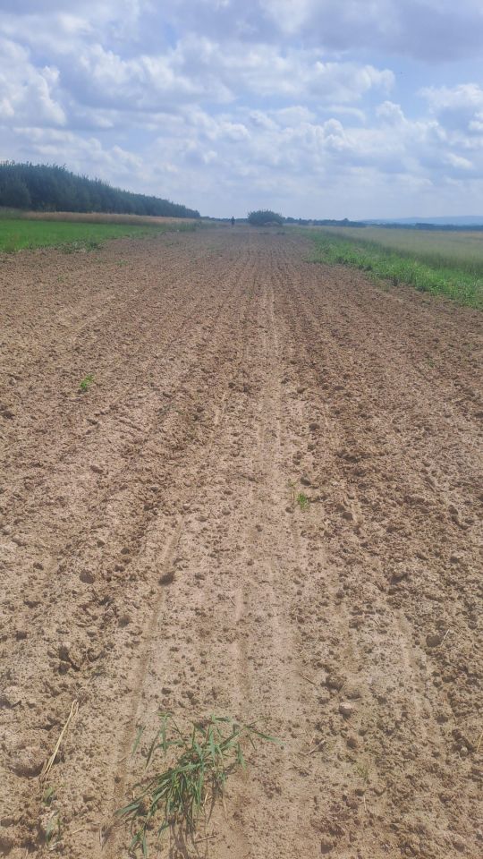 Działka rolno-budowlana Wzdół-Kolonia. Zdjęcie 2