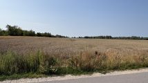 Działka rolno-budowlana Sierosławice Za Wiśniną, ul. Skalna. Zdjęcie 3